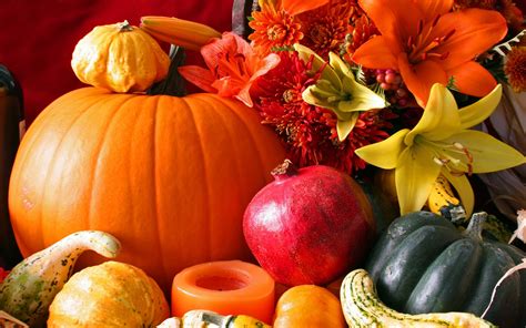 All things Pumpkin!