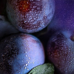 Midnight Plum 8oz jar candle