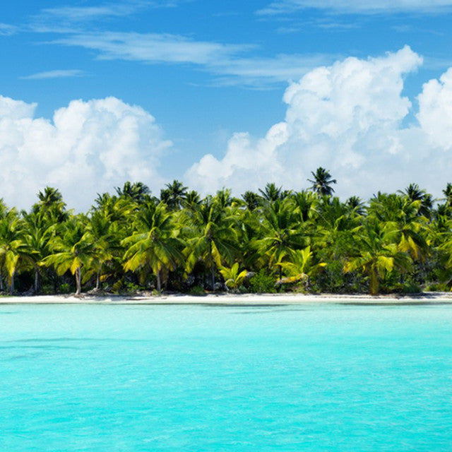 Caribbean Teakwood 6oz jar candle