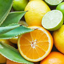 Citrus Agave 8oz jar candle