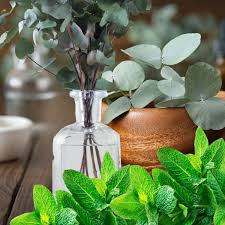 Peppermint Eucalyptus candle