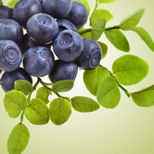 Wild Huckleberry 8oz Hand Soap