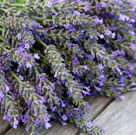 Lavender 6oz jar candle