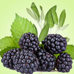 Blackberry Sage 14oz cube jar candle