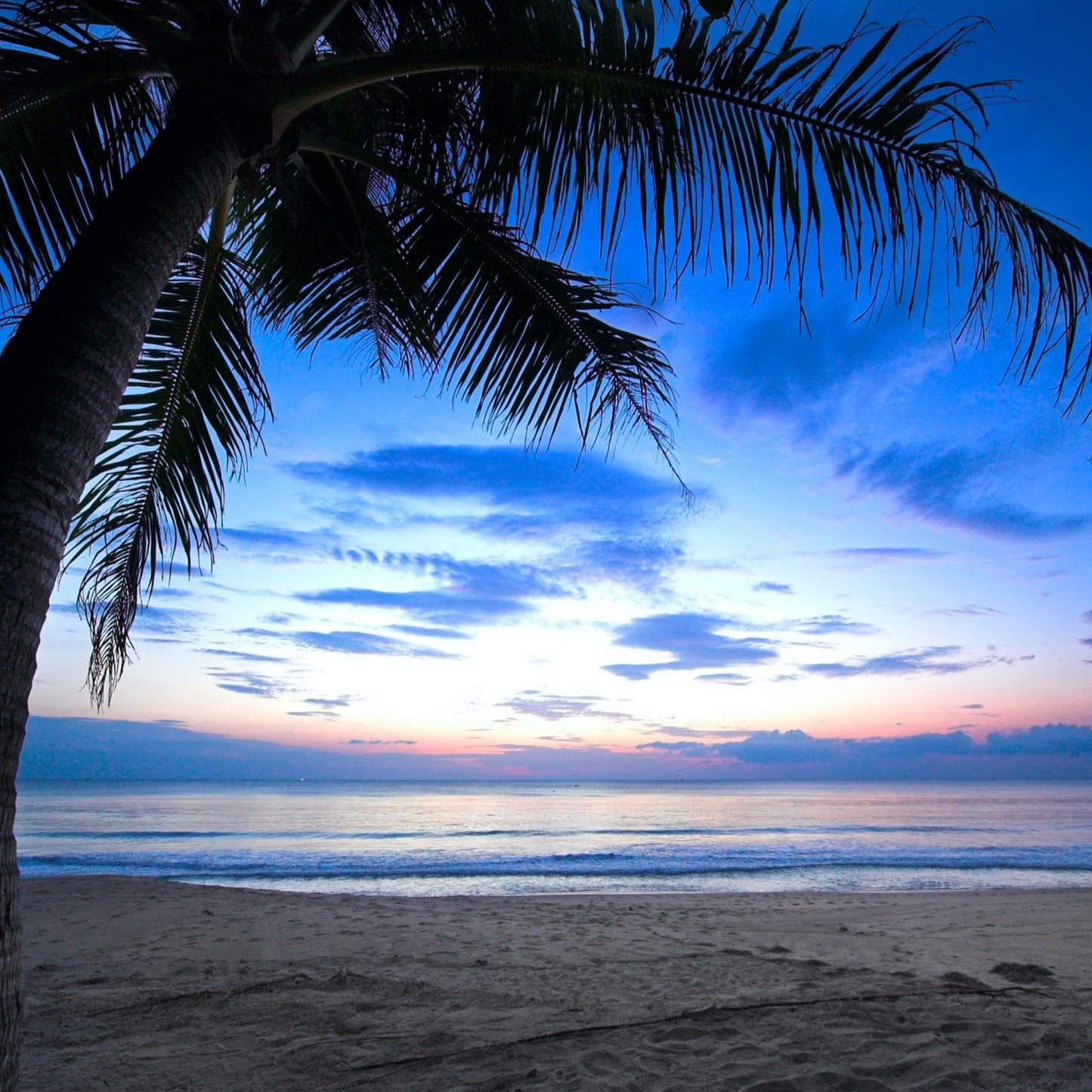 Caribbean Sky 6oz jar candle