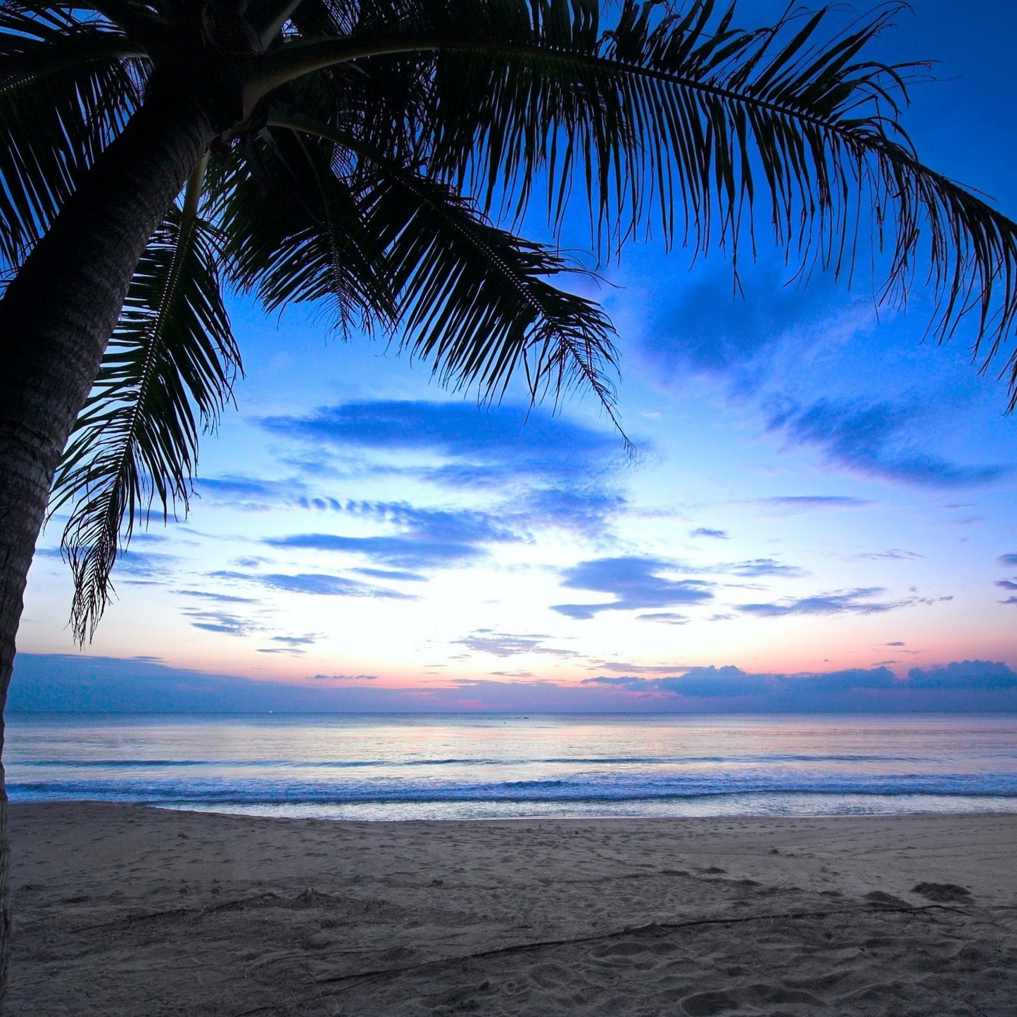 Caribbean Sky 9oz jar candle