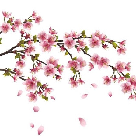 Cherry Blossom 6oz jar candle