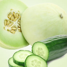 Cucumber Melon 14oz cube jar candle