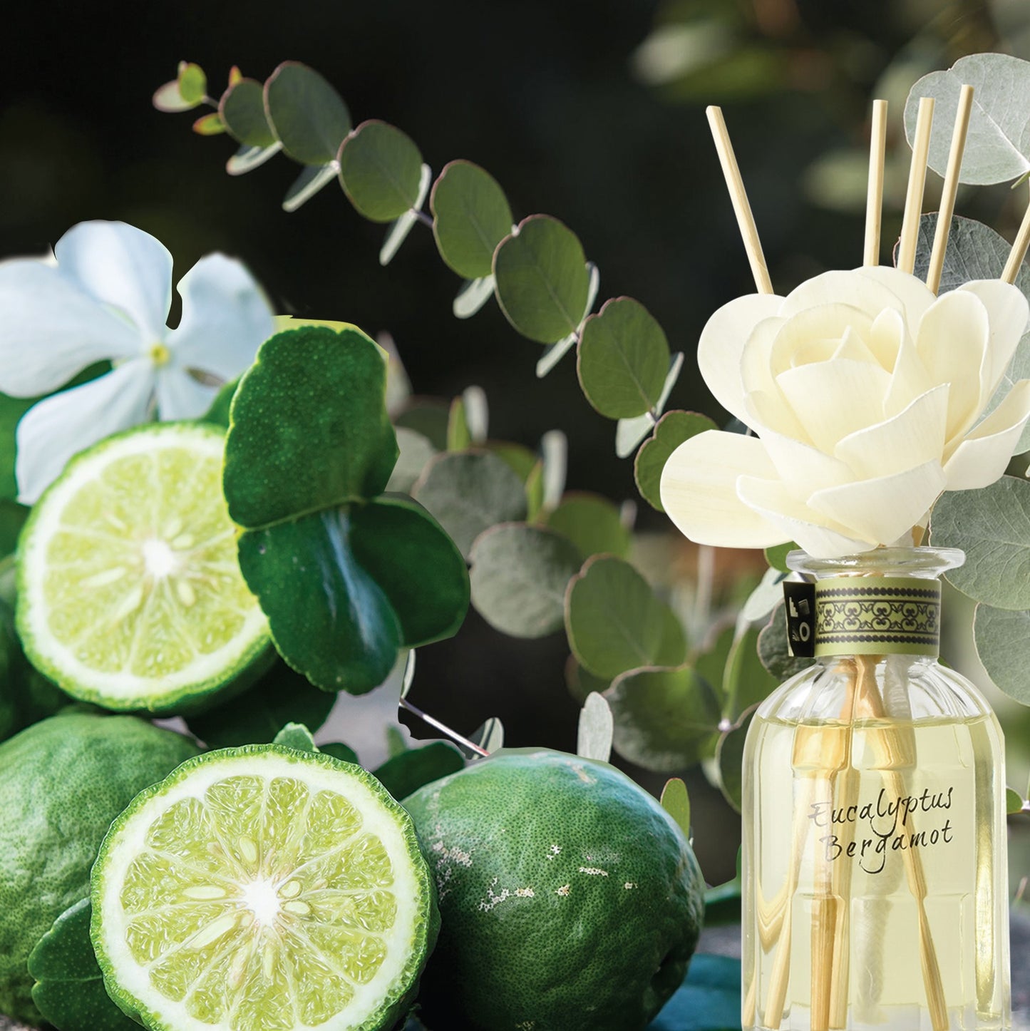 Eucalyptus & Bergamot 9oz jar candle