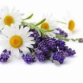 Lavender Chamomile 14oz cube jar candle