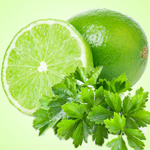 Lime & Cilantro 9oz jar candle